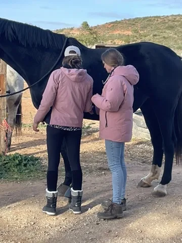 Échange avec une participante auprès d’un cheval noir